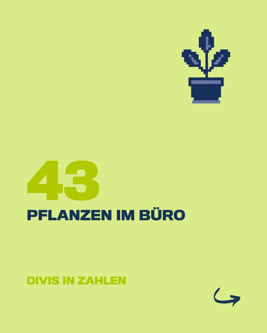 DIVIS in Zahlen – Pflanzen im Büro 🌿 43 Pflanzen sind bei&hellip;